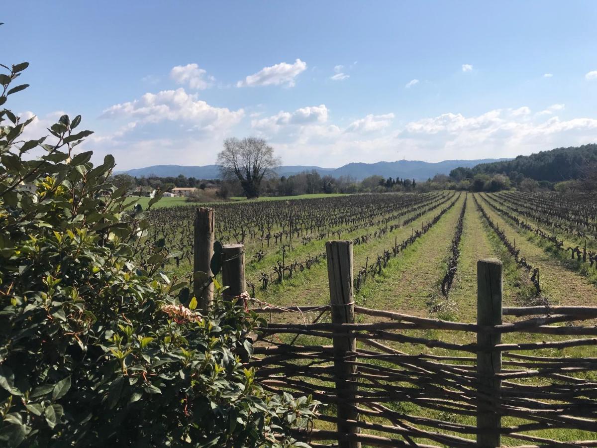 Chateau Saint-Pierre De Mejans Puyvert Zewnętrze zdjęcie