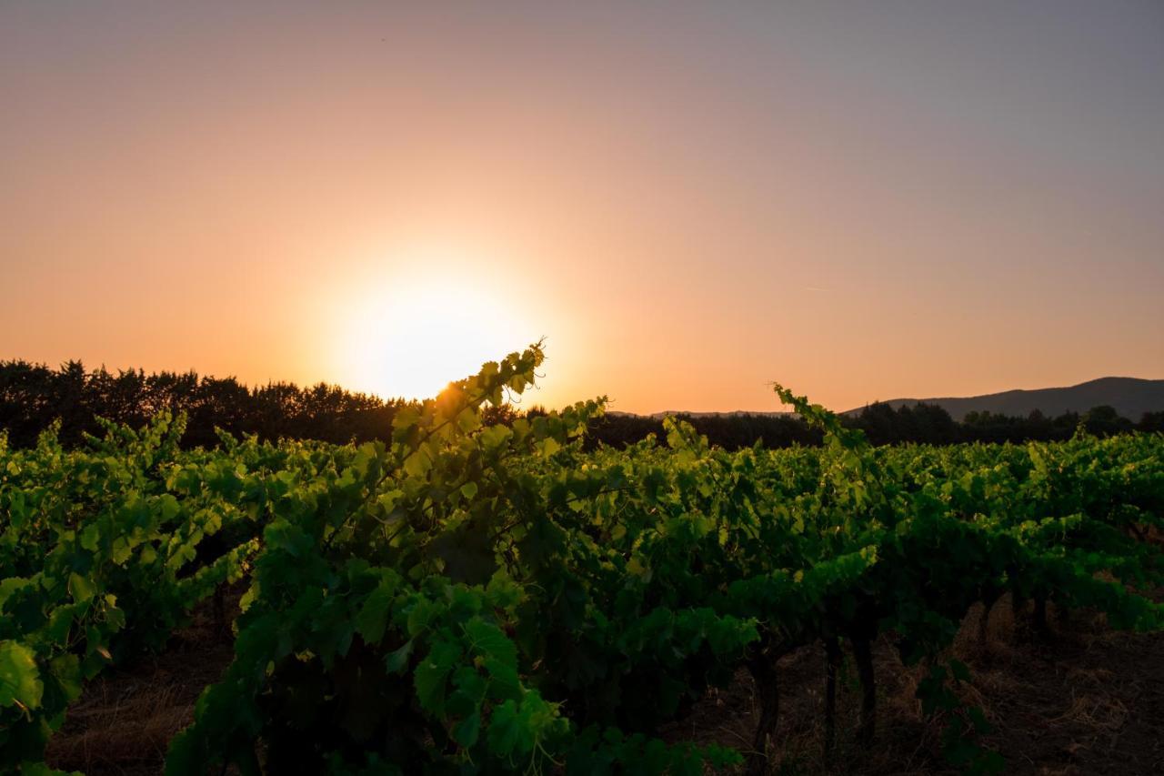 Chateau Saint-Pierre De Mejans Puyvert Zewnętrze zdjęcie