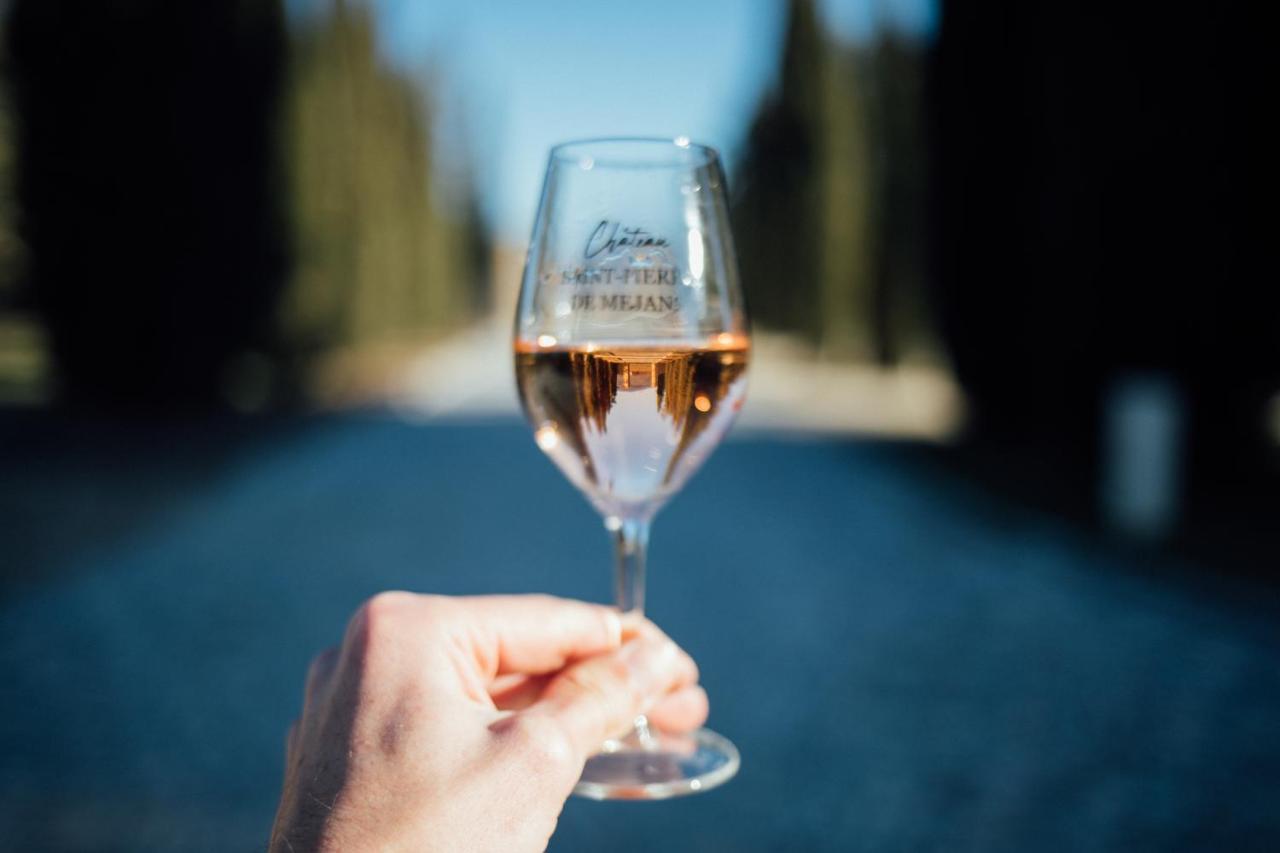Chateau Saint-Pierre De Mejans Puyvert Zewnętrze zdjęcie