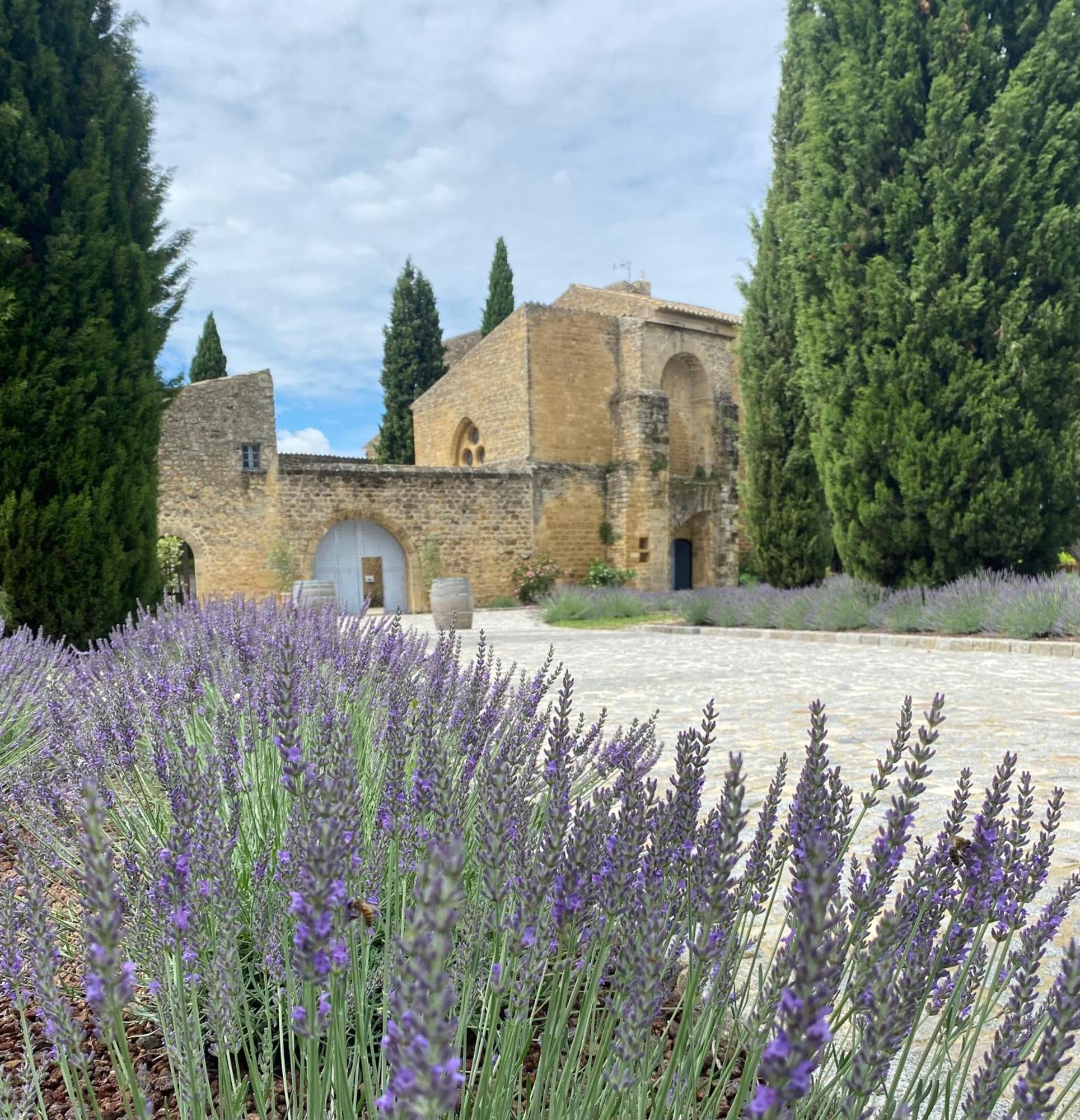Chateau Saint-Pierre De Mejans Puyvert Zewnętrze zdjęcie
