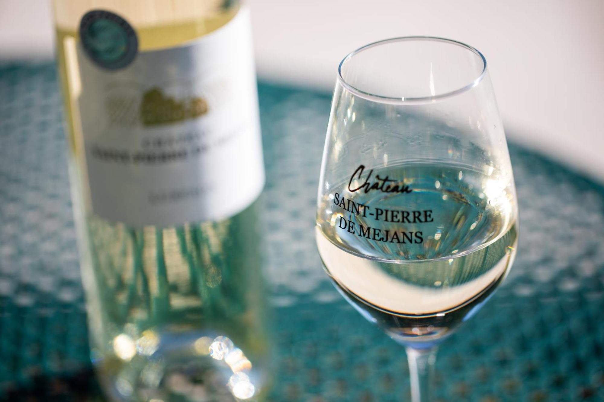 Chateau Saint-Pierre De Mejans Puyvert Zewnętrze zdjęcie